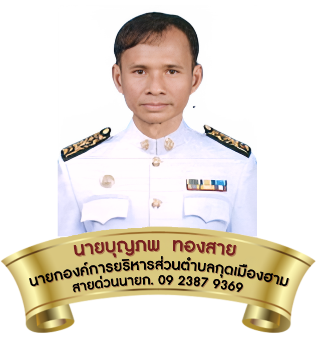 นายก อบต.